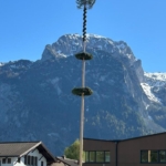 Maibaum