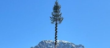 Maibaum
