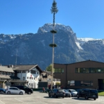 maibaum